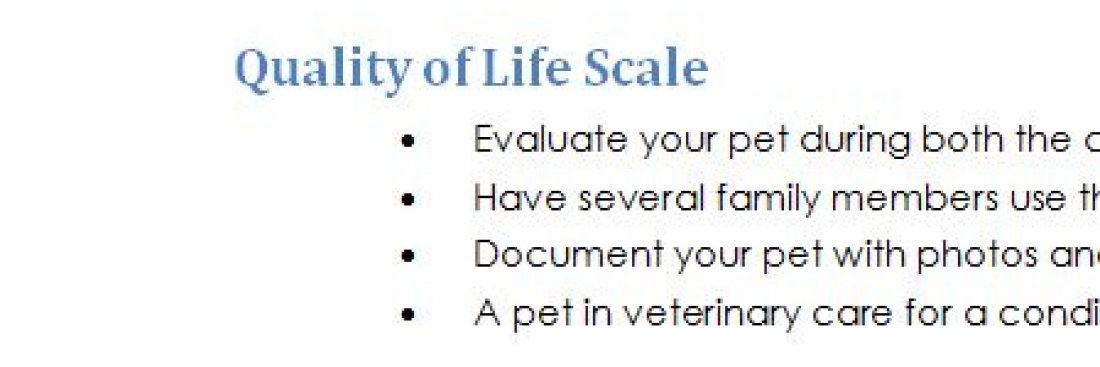 Quality of Life Scale