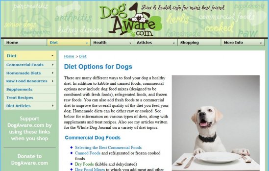 Dog Aware: Diet Options for Dogs