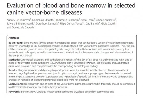 Blood and Bone Marrow Canine Vector Borne Disease