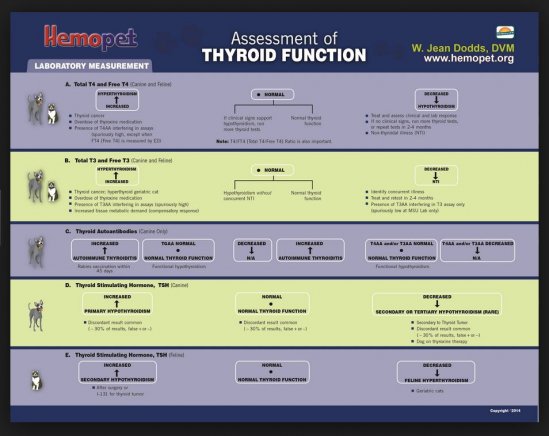 Hemopet Assessment of Thyroid Function