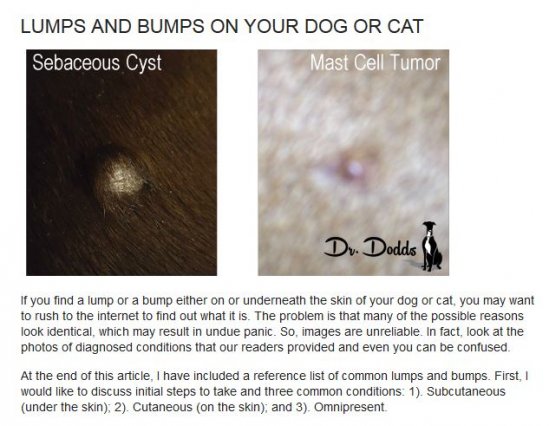 Dr. Dodds Lumps and Bumps
