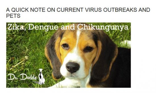 Dr. Dodds: Current Virus Outbreaks