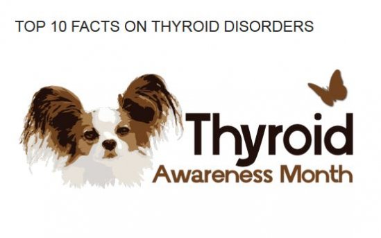 Dr Dodds Top Ten Thyroid Facts