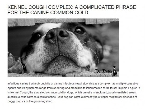 Dr. Dodds Kennel Cough Complex
