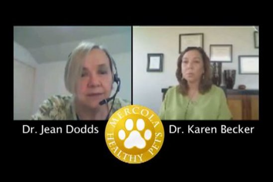 Dr. Dodds: Hidden Signs of Hypothyroidism Part 2