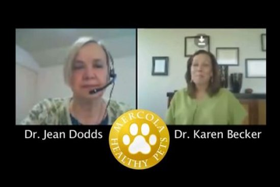 Dr. Dodds: Hidden Signs of Hypothyroidism Part 1