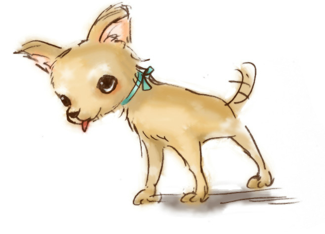 chihuahua_drawing