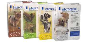 Interceptor Heartworm Flavor Tabs Product Insert