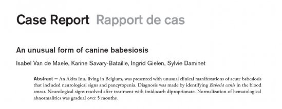 An Unusual Form of Canine Babesiosis