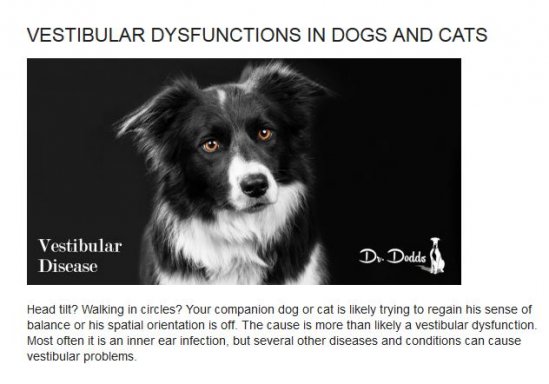 Dr. Dodds Vestibular Dysfunctions